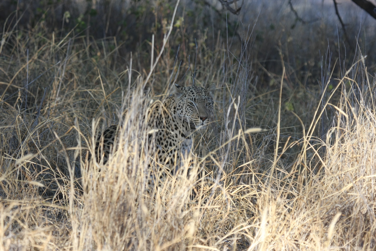 [2928] 2016_06_22_11_06_27_Africa_Canon_EOS_40D_IMG__08110.jpg