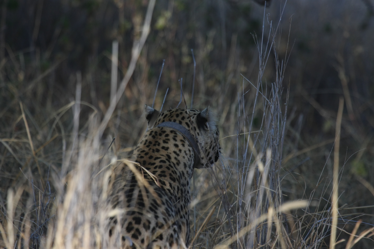 [2936] 2016_06_22_11_06_44_Africa_Canon_EOS_40D_IMG__00666.jpg