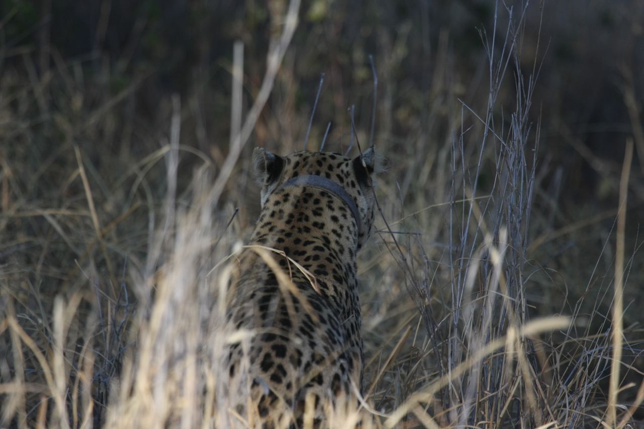 [2940] 2016_06_22_11_06_45_Africa_Canon_EOS_40D_IMG__08114.jpg