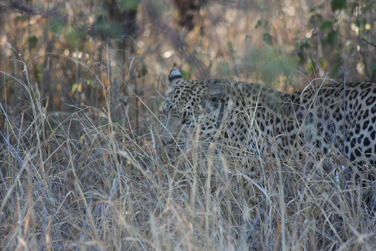 [2973] 2016_06_22_11_10_50_Africa_Canon_EOS_40D_IMG__08121.jpg