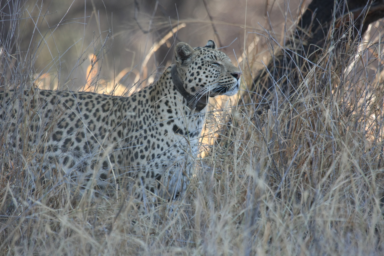 [2982] 2016_06_22_11_11_25_Africa_Canon_EOS_40D_IMG__08124.jpg