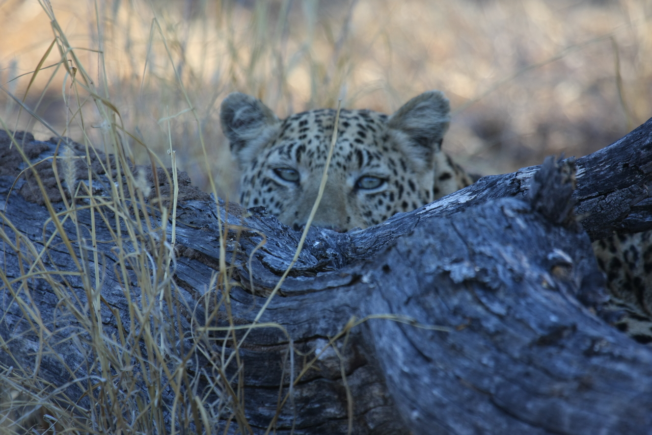 [3018] 2016_06_22_11_18_33_Africa_Canon_EOS_40D_IMG__00688.jpg
