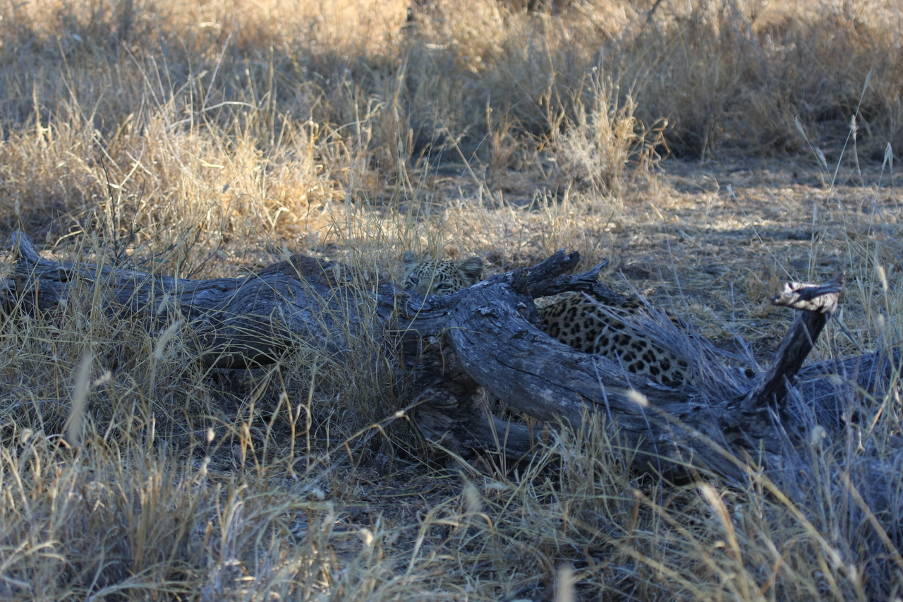 [3030] 2016_06_22_11_18_52_Africa_Canon_EOS_40D_IMG__08138.jpg