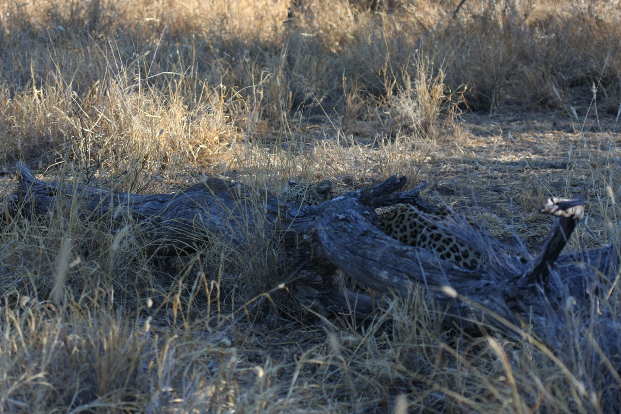 [3039] 2016_06_22_11_18_56_Africa_Canon_EOS_40D_IMG__08141.jpg