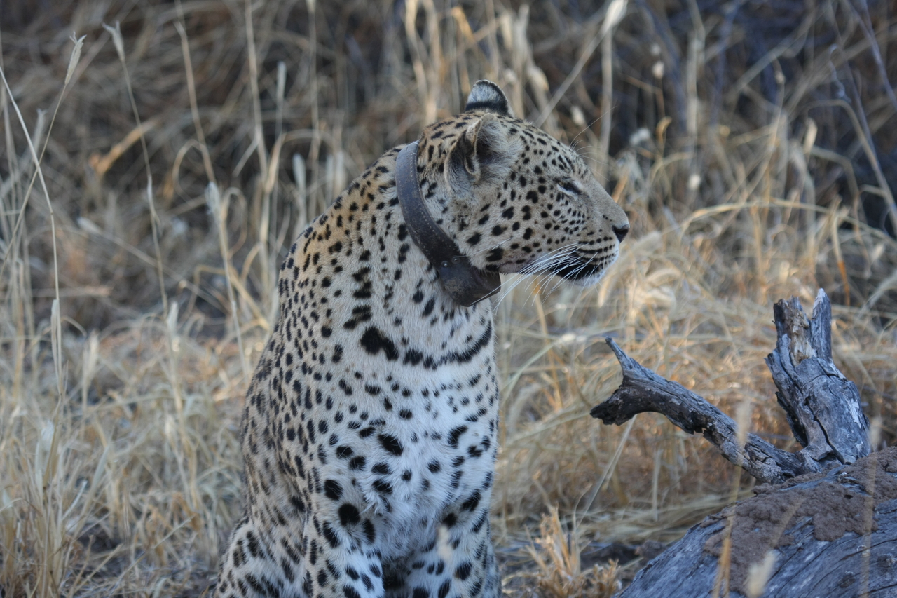 [3097] 2016_06_22_11_22_44_Africa_Canon_EOS_40D_IMG__00695.jpg