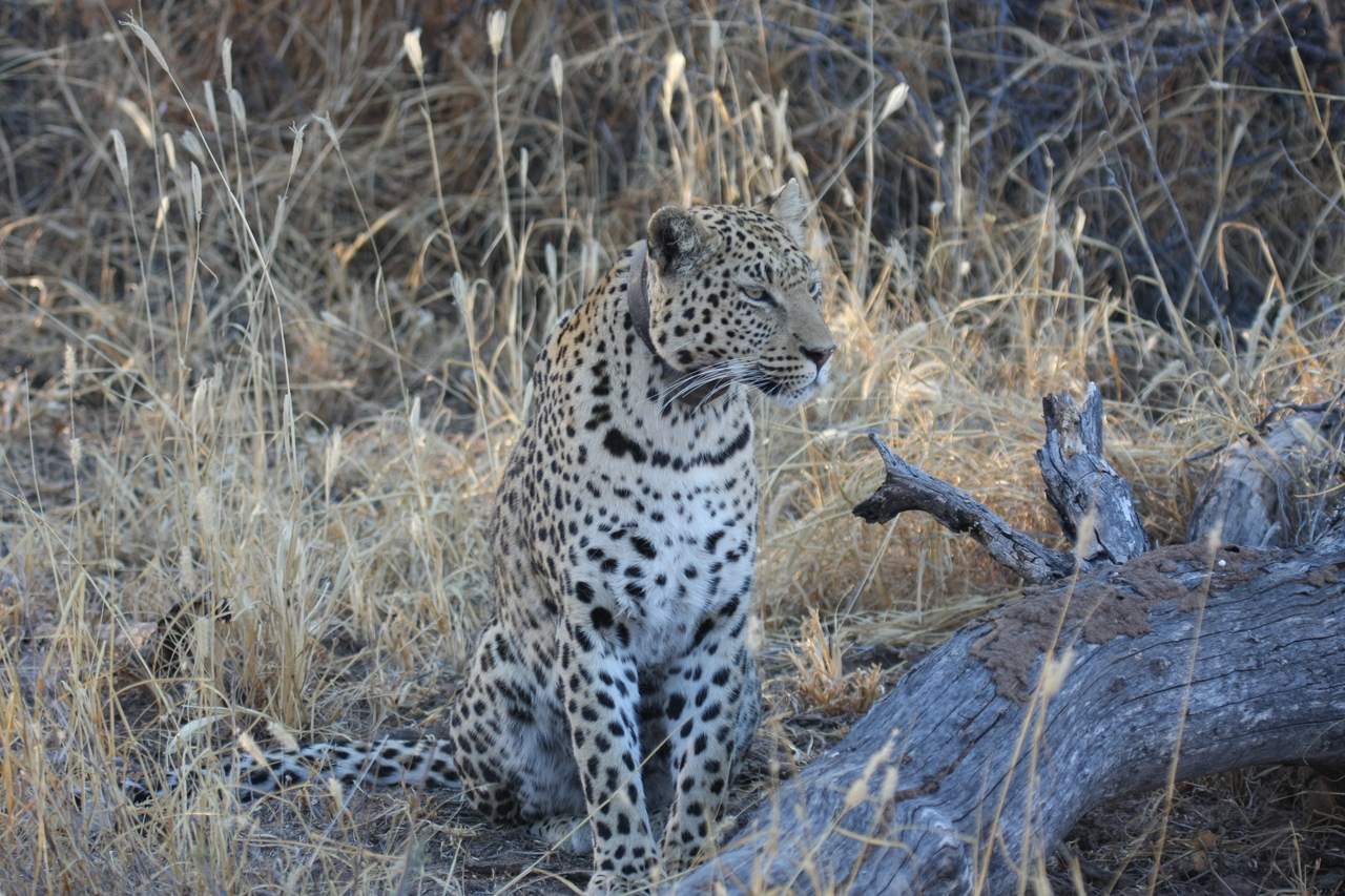 [3109] 2016_06_22_11_22_47_Africa_Canon_EOS_40D_IMG__08163.jpg