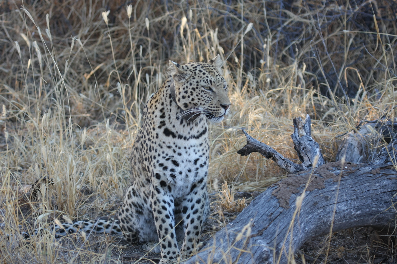[3115] 2016_06_22_11_22_48_Africa_Canon_EOS_40D_IMG__08165.jpg