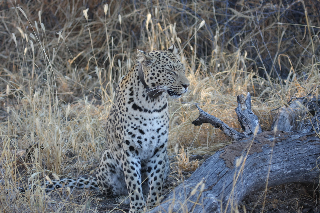 [3116] 2016_06_22_11_22_48_Africa_Canon_EOS_40D_IMG__08166.jpg