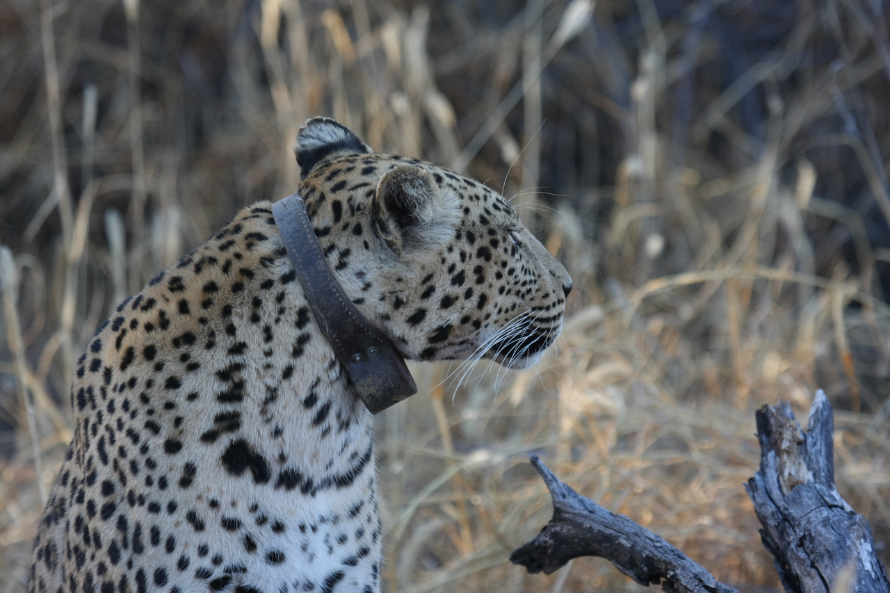 [3117] 2016_06_22_11_22_52_Africa_Canon_EOS_40D_IMG__00701.jpg