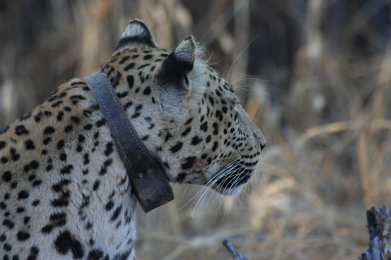 [3238] 2016_06_22_11_24_11_Africa_Canon_EOS_40D_IMG__00736.jpg