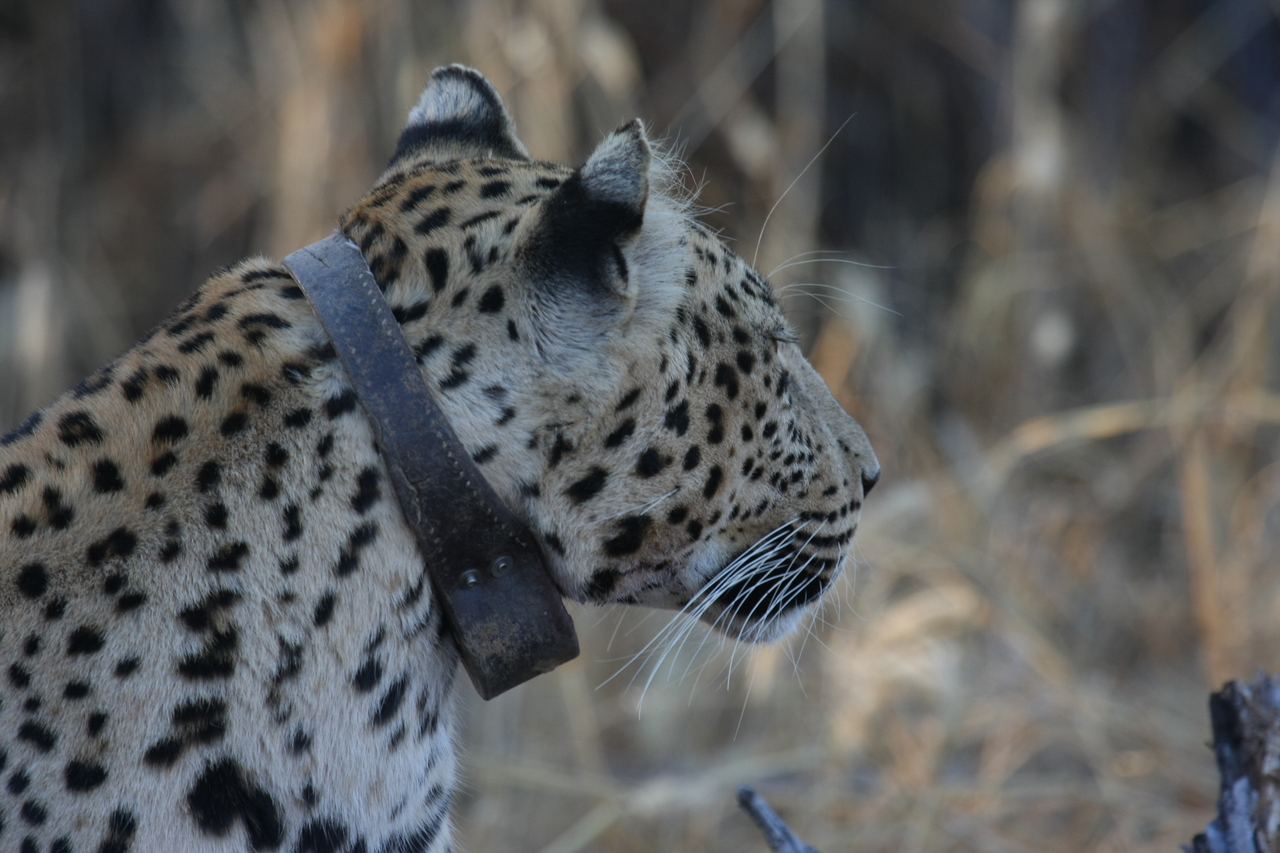 [3243] 2016_06_22_11_24_11_Africa_Canon_EOS_40D_IMG__08201.jpg