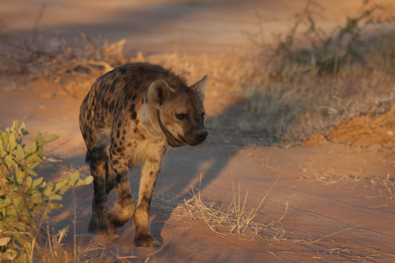 [3306] 2016_06_22_12_05_11_Africa_Canon_EOS_40D_IMG__08218.jpg