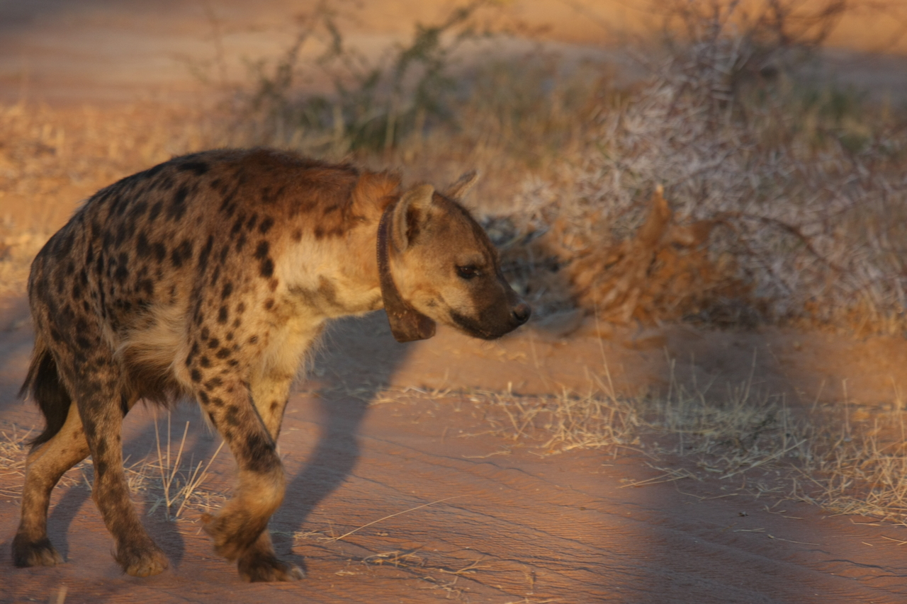 [3313] 2016_06_22_12_05_12_Africa_Canon_EOS_40D_IMG__08221.jpg