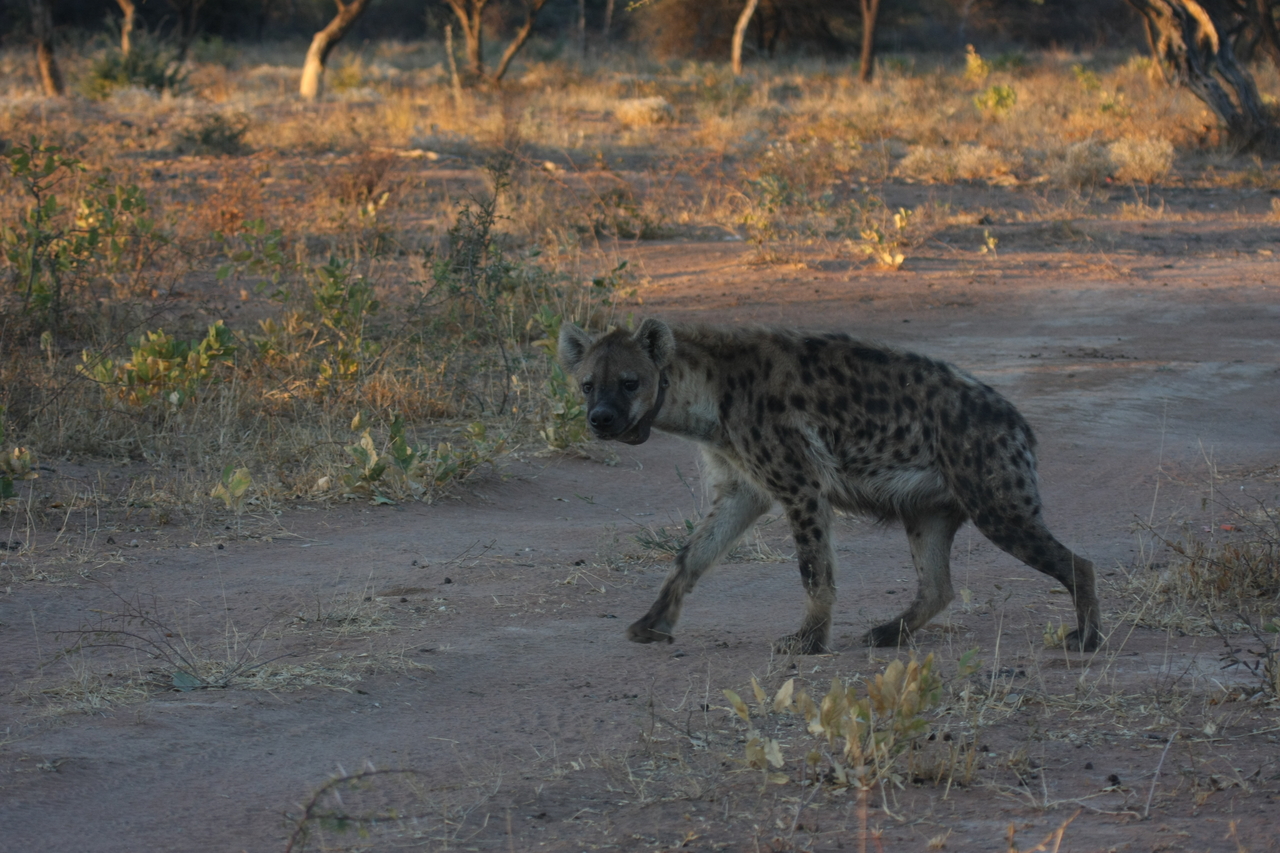 [3358] 2016_06_22_12_06_02_Africa_Canon_EOS_40D_IMG__00789.jpg