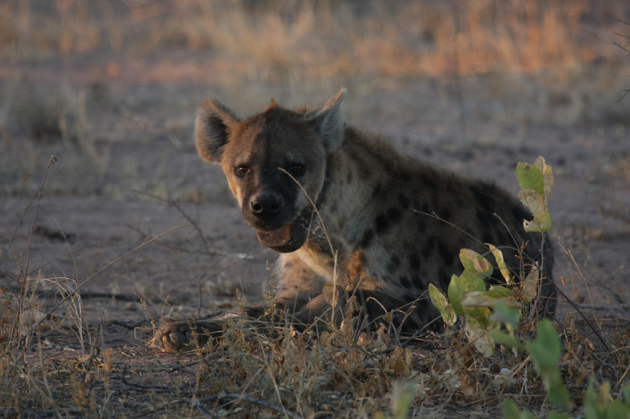 [3373] 2016_06_22_12_07_13_Africa_Canon_EOS_40D_IMG__00794.jpg