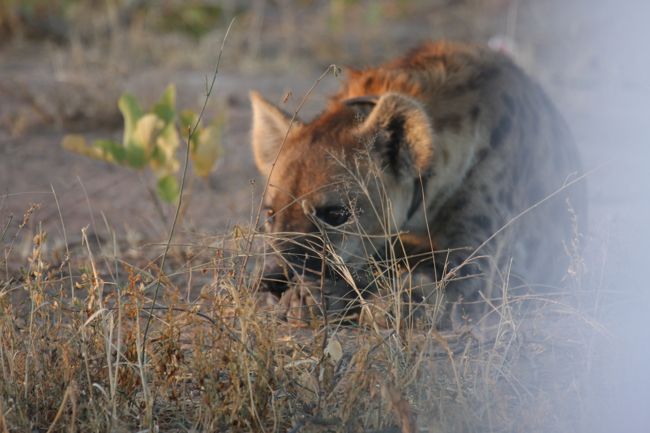 [3388] 2016_06_22_12_07_47_Africa_Canon_EOS_40D_IMG__08246.jpg
