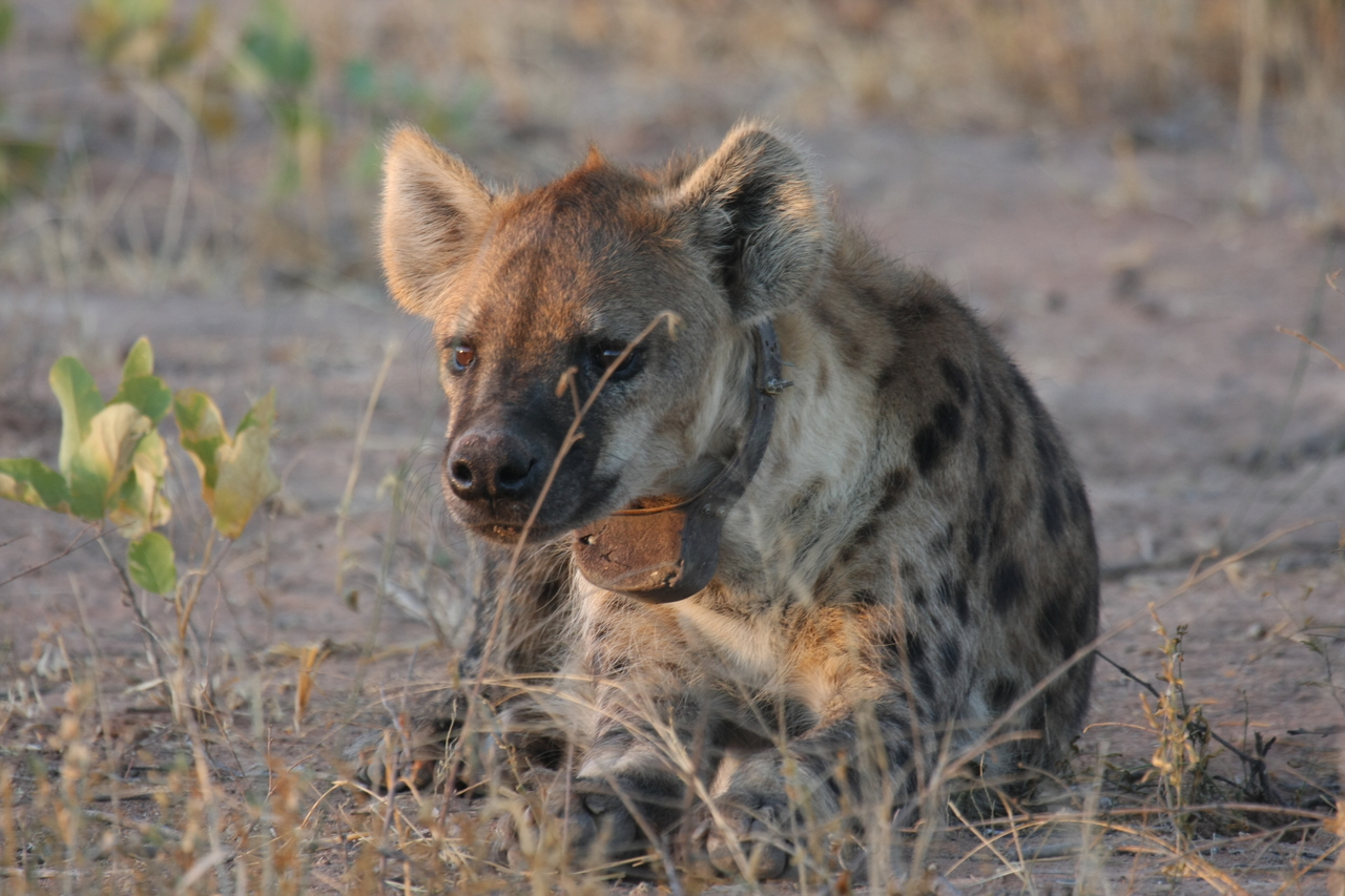 [3394] 2016_06_22_12_08_05_Africa_Canon_EOS_40D_IMG__00801.jpg