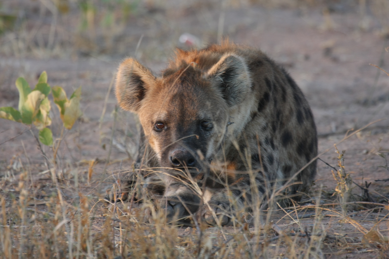 [3411] 2016_06_22_12_08_14_Africa_Canon_EOS_40D_IMG__00789.jpg