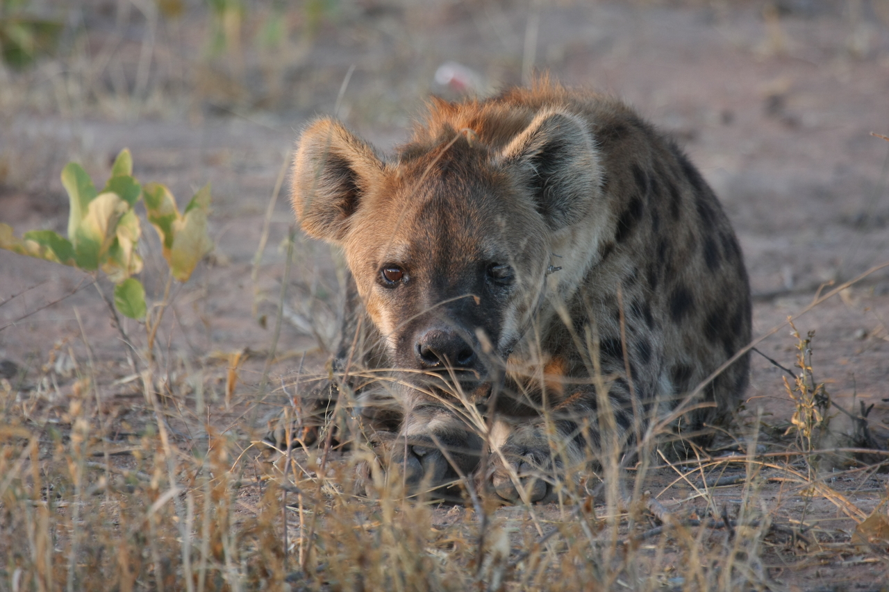 [3412] 2016_06_22_12_08_14_Africa_Canon_EOS_40D_IMG__00807.jpg