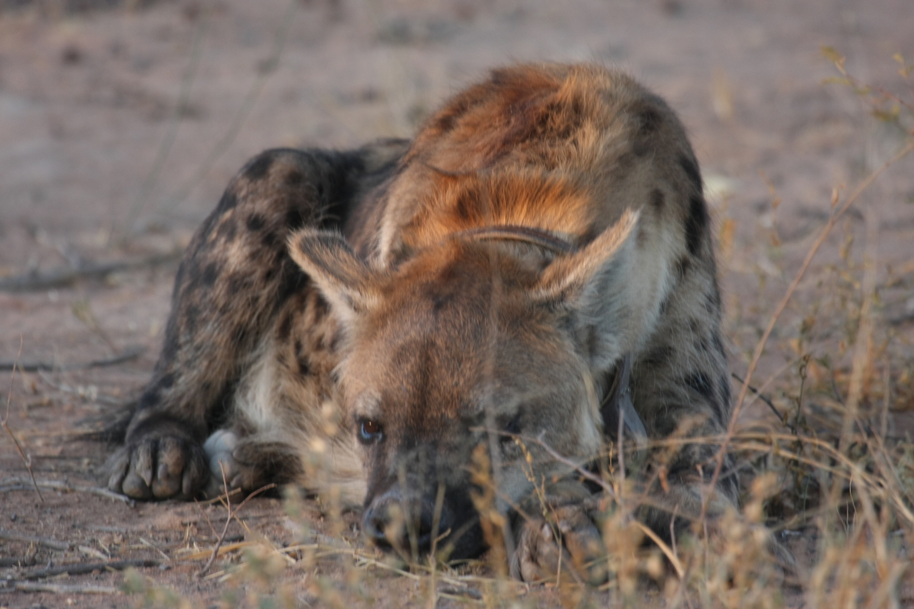 [3421] 2016_06_22_12_08_35_Africa_Canon_EOS_40D_IMG__00793.jpg