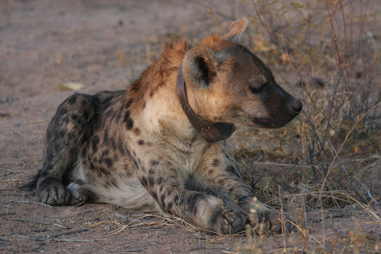 [3450] 2016_06_22_12_09_03_Africa_Canon_EOS_40D_IMG__08266.jpg