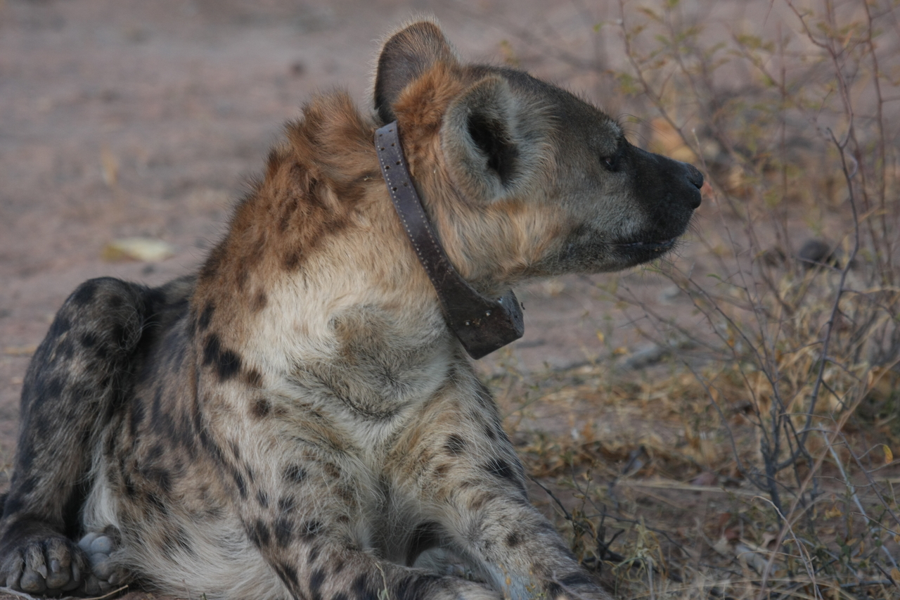 [3467] 2016_06_22_12_10_06_Africa_Canon_EOS_40D_IMG__00807.jpg