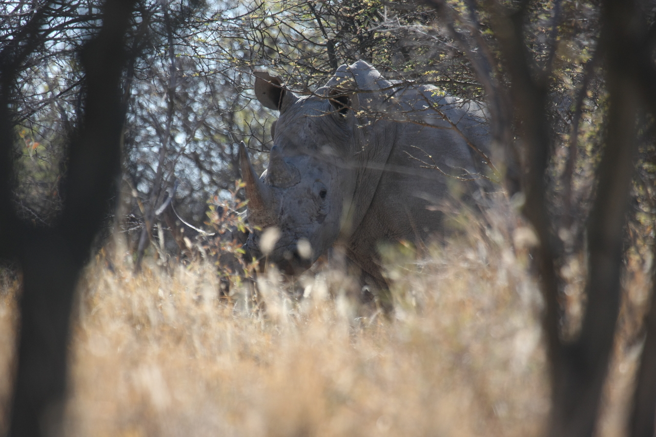 [4675] 2016_06_23_04_18_07_Africa_Canon_EOS_40D_IMG__08309.jpg