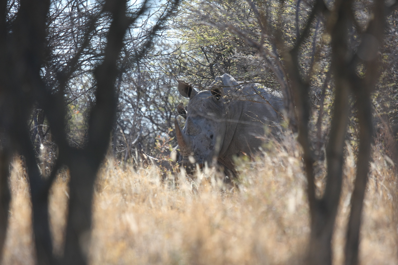 [4676] 2016_06_23_04_18_16_Africa_Canon_EOS_40D_IMG__00029.jpg