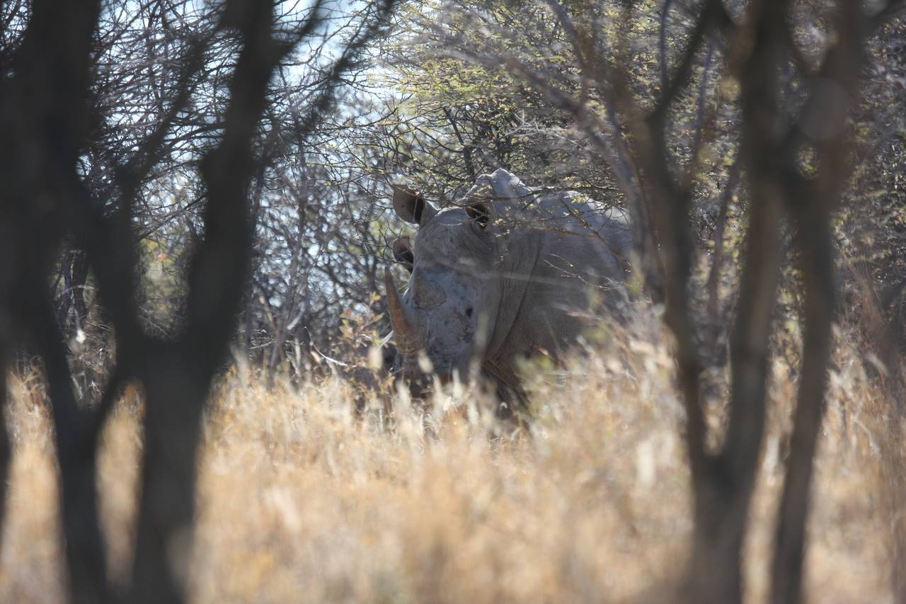 [4680] 2016_06_23_04_18_16_Africa_Canon_EOS_40D_IMG__00864.jpg