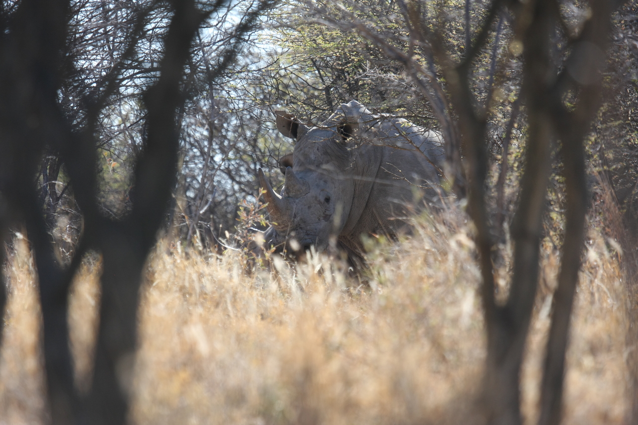 [4692] 2016_06_23_04_18_32_Africa_Canon_EOS_40D_IMG__08314.jpg