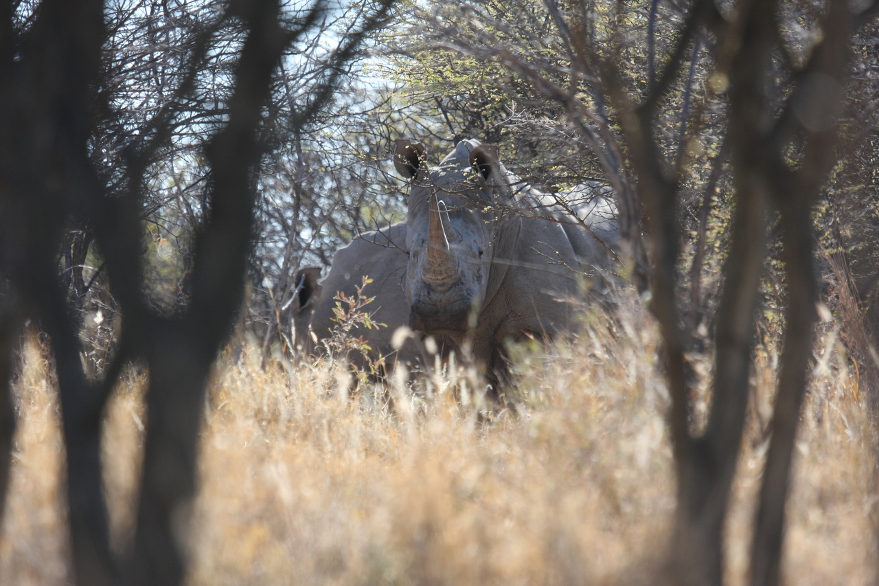 [4696] 2016_06_23_04_18_46_Africa_Canon_EOS_40D_IMG__00037.jpg