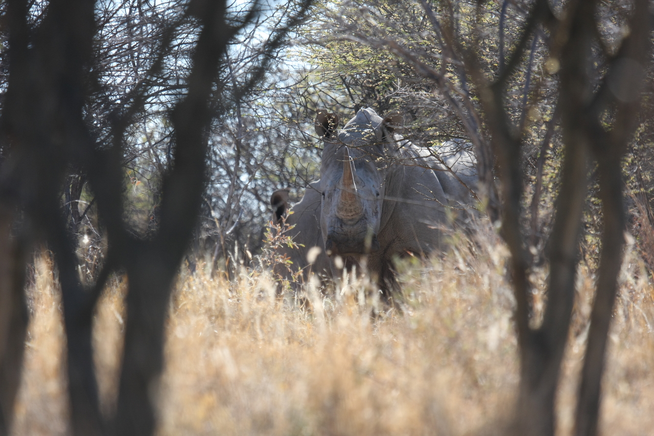 [4697] 2016_06_23_04_18_46_Africa_Canon_EOS_40D_IMG__00869.jpg