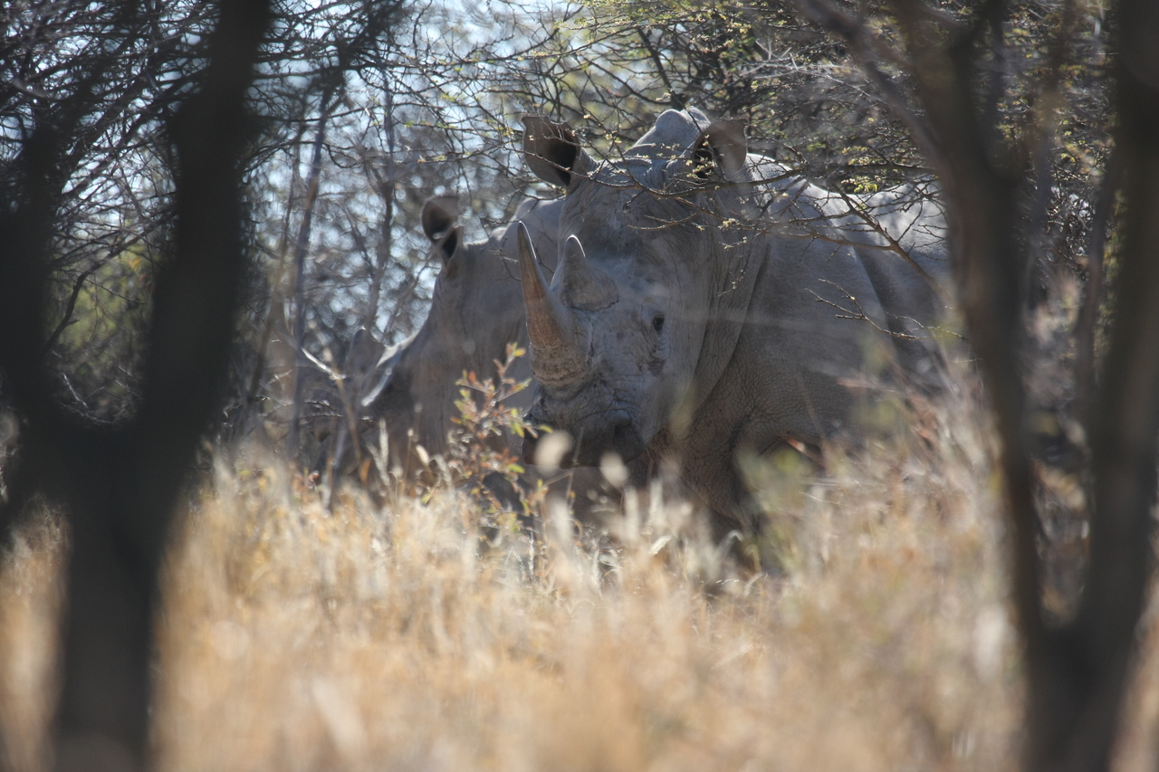 [4705] 2016_06_23_04_18_53_Africa_Canon_EOS_40D_IMG__00872.jpg