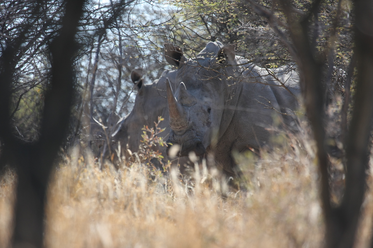 [4708] 2016_06_23_04_18_53_Africa_Canon_EOS_40D_IMG__08320.jpg