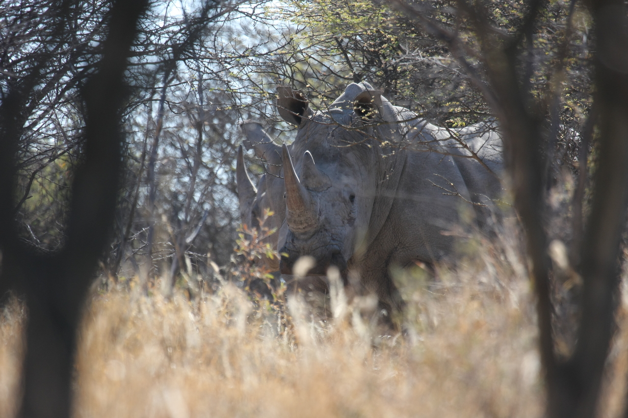 [4709] 2016_06_23_04_18_55_Africa_Canon_EOS_40D_IMG__00040.jpg