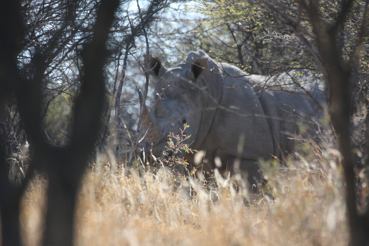 [4720] 2016_06_23_04_19_08_Africa_Canon_EOS_40D_IMG__00877.jpg