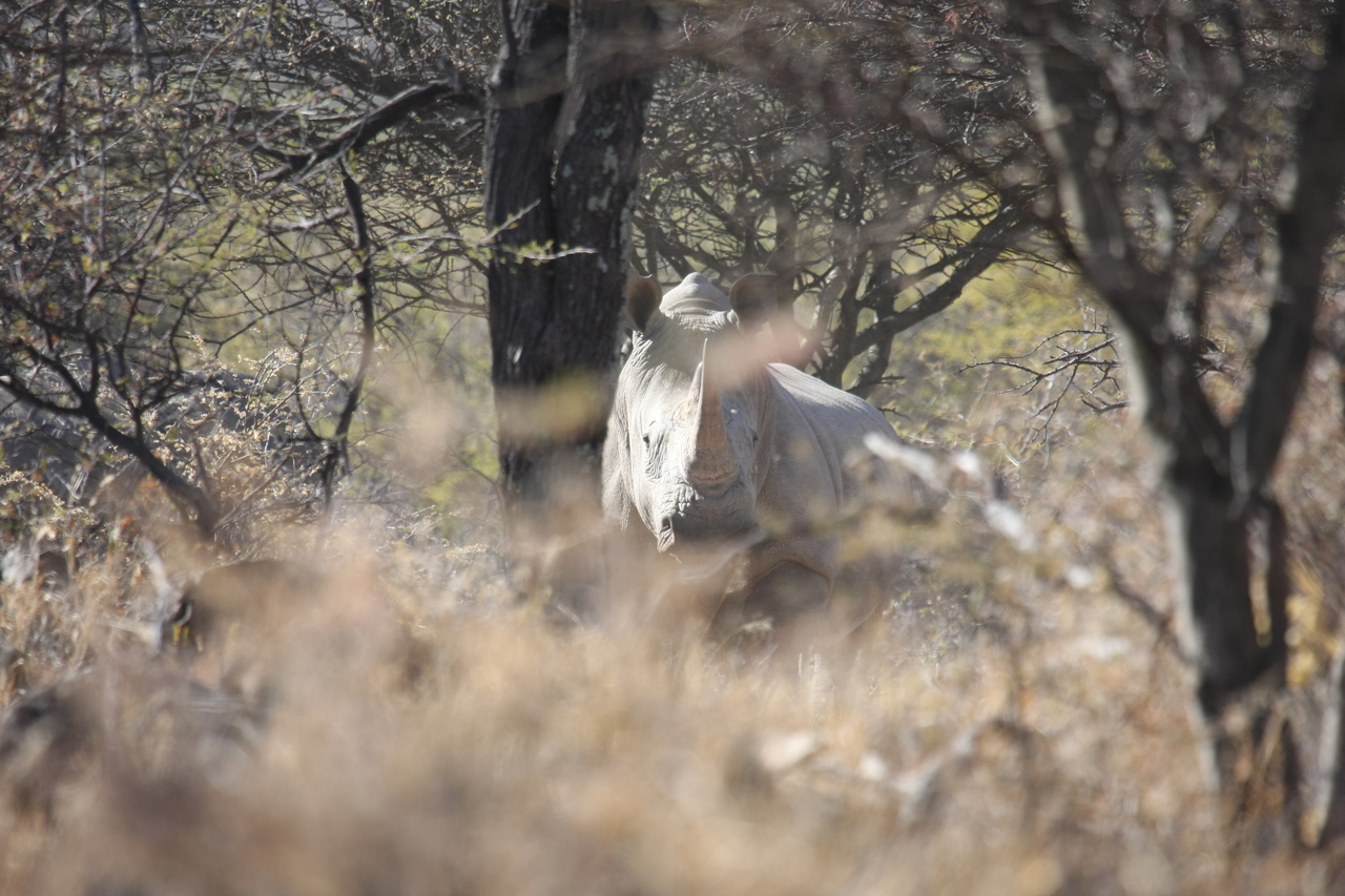 [4750] 2016_06_23_04_23_45_Africa_Canon_EOS_40D_IMG__00881.jpg