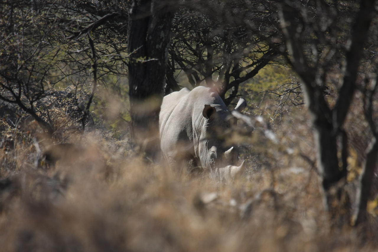 [4798] 2016_06_23_04_24_06_Africa_Canon_EOS_40D_IMG__00896.jpg