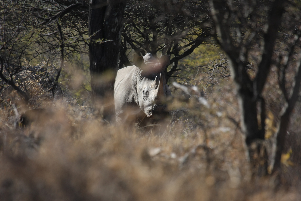 [4821] 2016_06_23_04_24_17_Africa_Canon_EOS_40D_IMG__08351.jpg