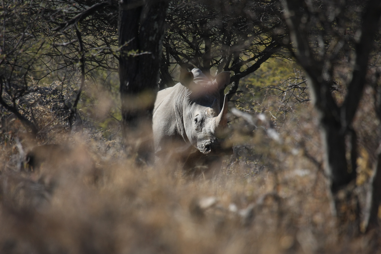 [4825] 2016_06_23_04_24_23_Africa_Canon_EOS_40D_IMG__00905.jpg