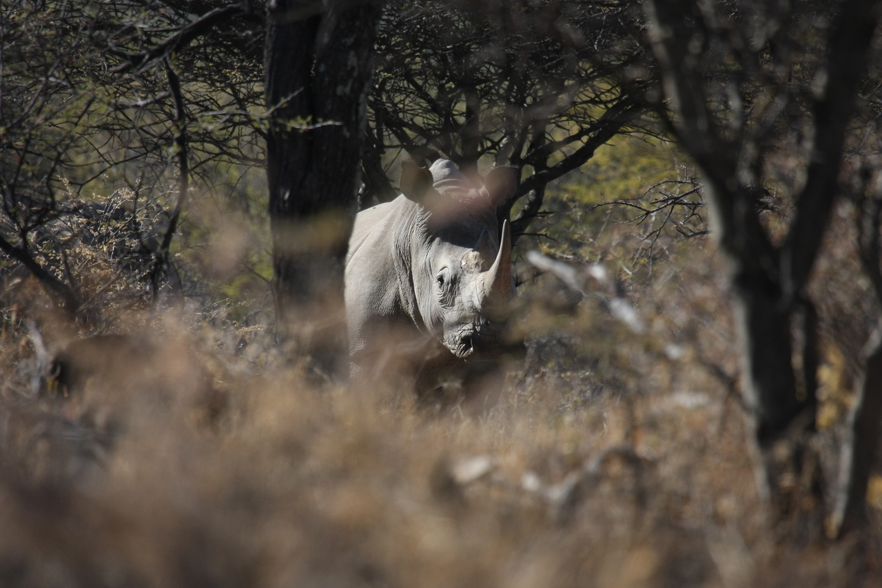 [4826] 2016_06_23_04_24_23_Africa_Canon_EOS_40D_IMG__00906.jpg