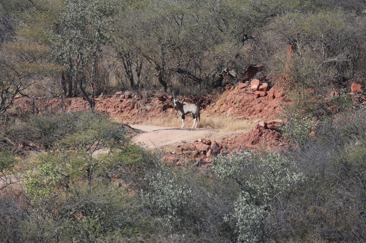 [5016] 2016_06_23_05_23_35_Africa_Canon_EOS_40D_IMG__00121.jpg