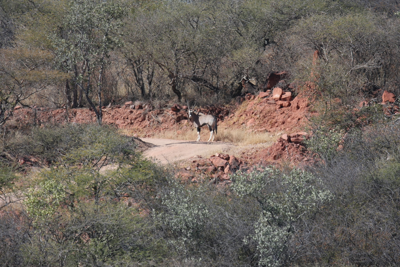 [5017] 2016_06_23_05_23_35_Africa_Canon_EOS_40D_IMG__00122.jpg
