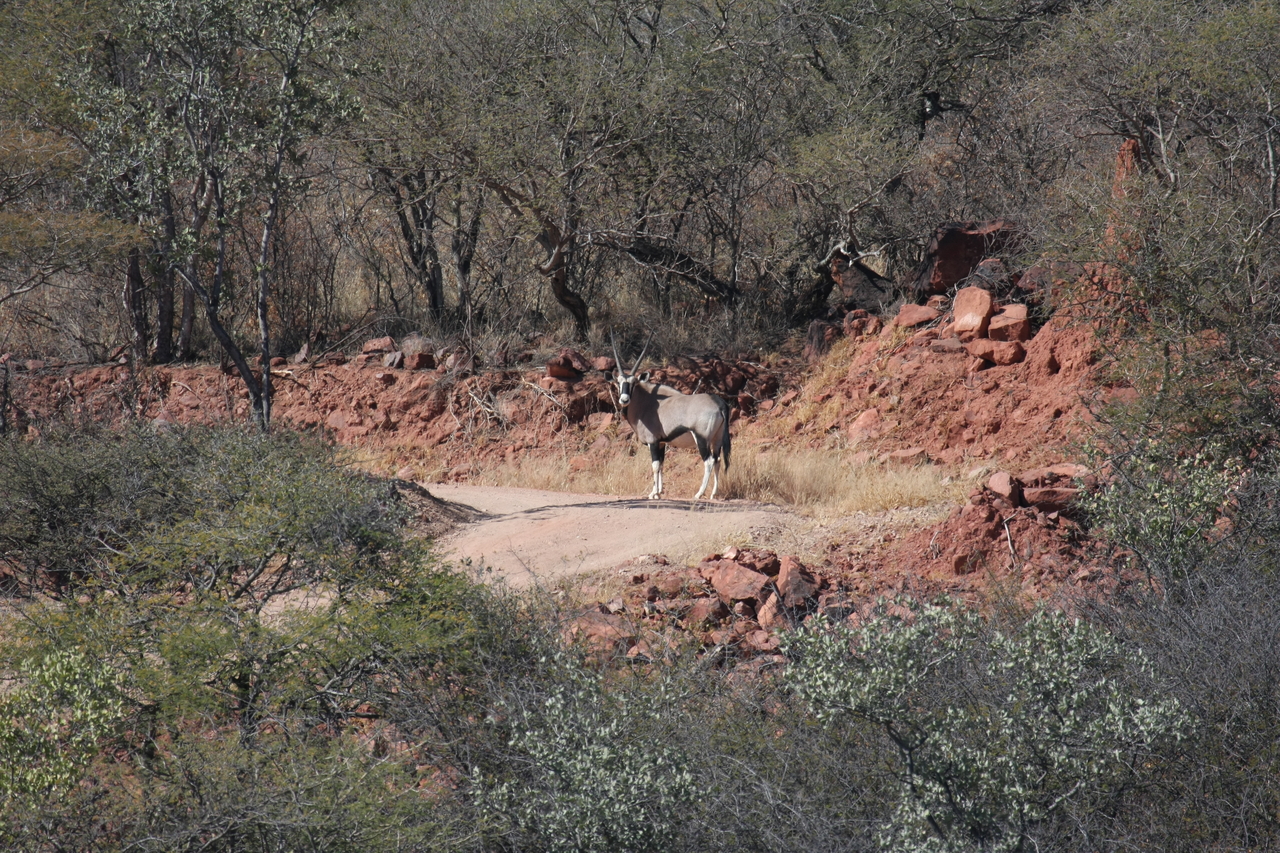 [5025] 2016_06_23_05_23_41_Africa_Canon_EOS_40D_IMG__00124.jpg
