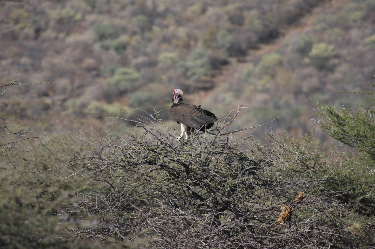 [5412] 2016_06_23_09_59_47_Africa_Canon_EOS_40D_IMG__00139.jpg