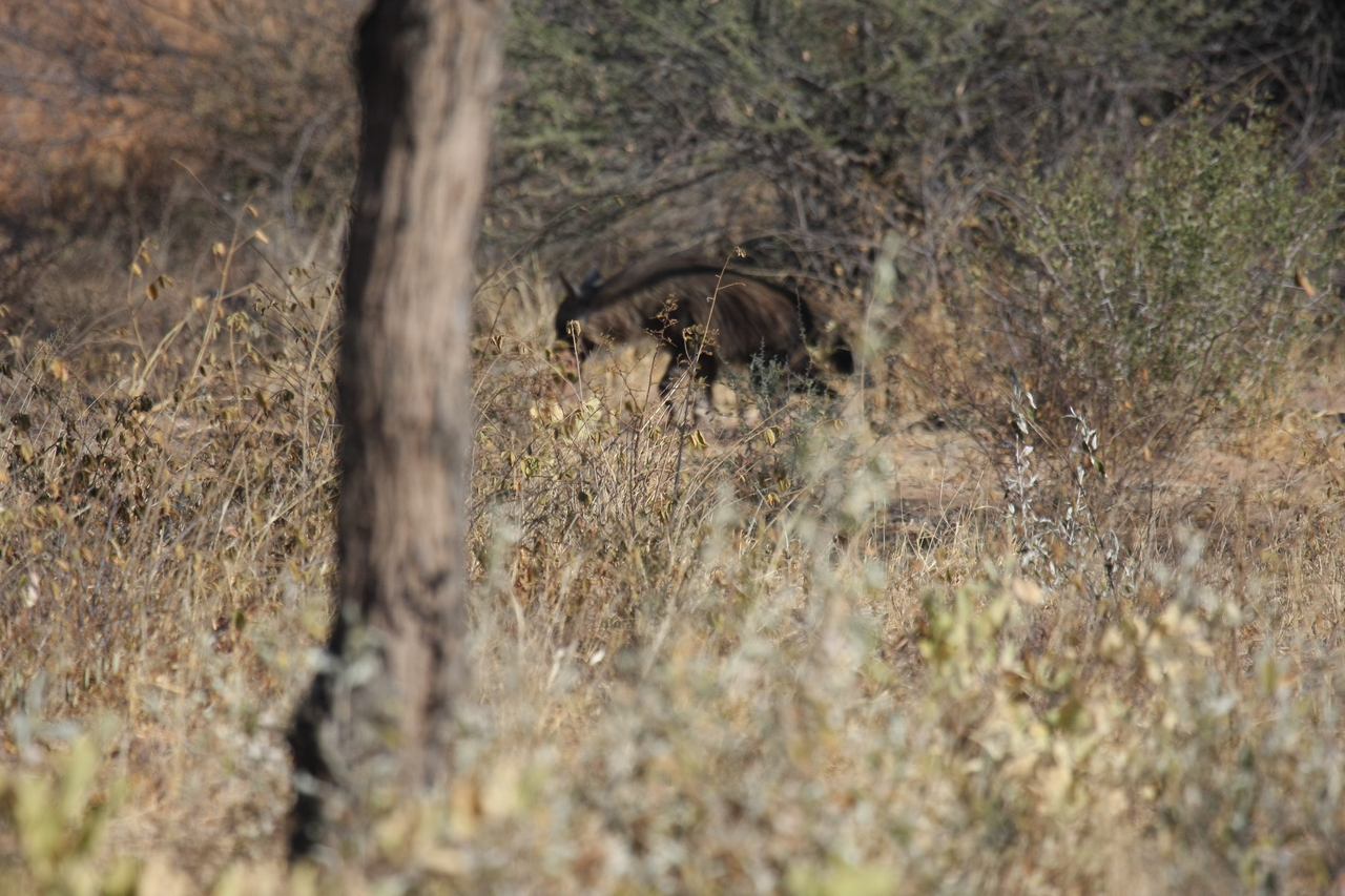 [5422] 2016_06_23_10_00_18_Africa_Canon_EOS_40D_IMG__08422.jpg