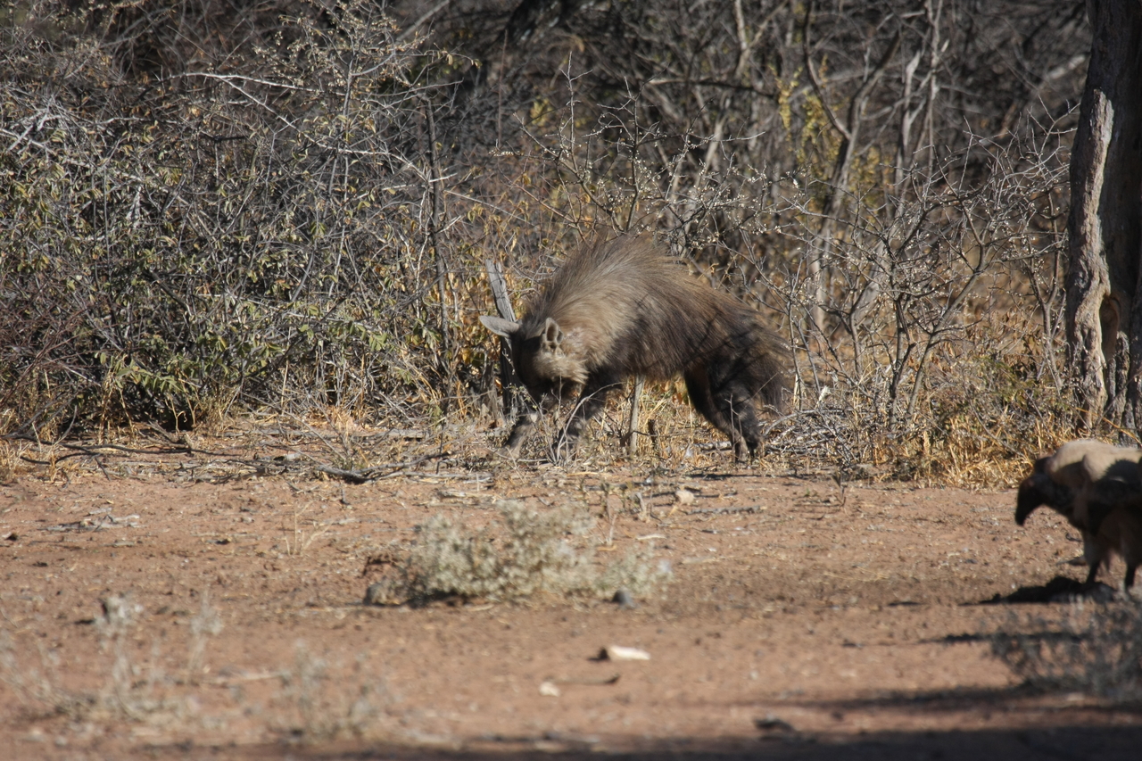 [5454] 2016_06_23_10_03_34_Africa_Canon_EOS_40D_IMG__00986.jpg