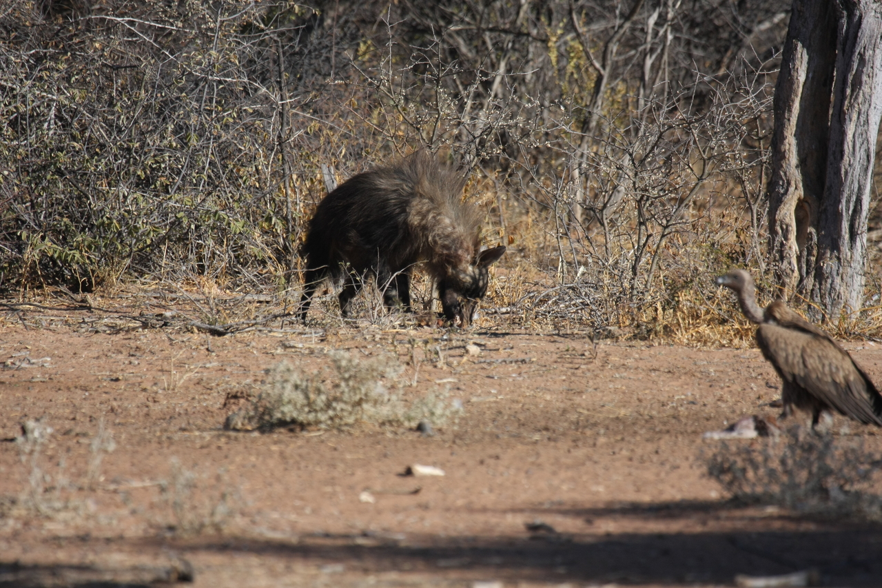 [5473] 2016_06_23_10_04_03_Africa_Canon_EOS_40D_IMG__08439.jpg