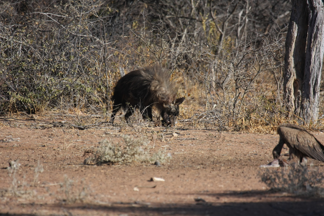 [5474] 2016_06_23_10_04_05_Africa_Canon_EOS_40D_IMG__00159.jpg