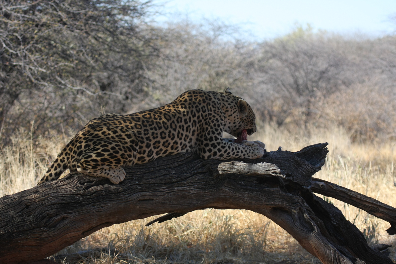 [5547] 2016_06_23_10_16_52_Africa_Canon_EOS_40D_IMG__00178.jpg